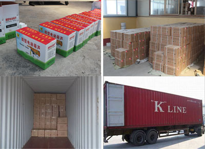 微型電動(dòng)葫蘆包裝圖